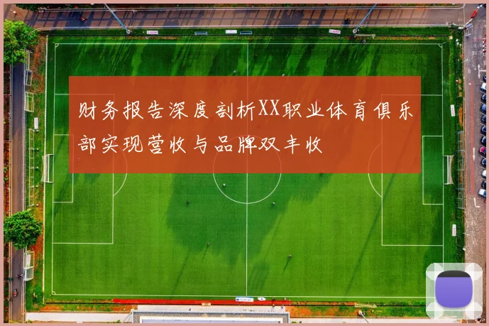 财务报告深度剖析XX职业体育俱乐部实现营收与品牌双丰收